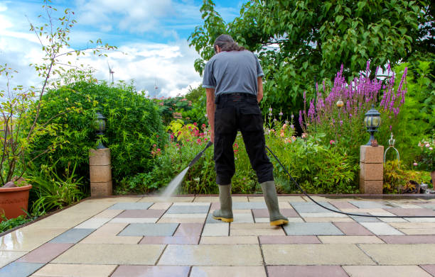 Best Winterizing Services  in Shelby, OH
