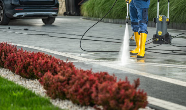 Best Driveway Pressure Washing  in Shelby, OH